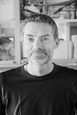 Morten Frost