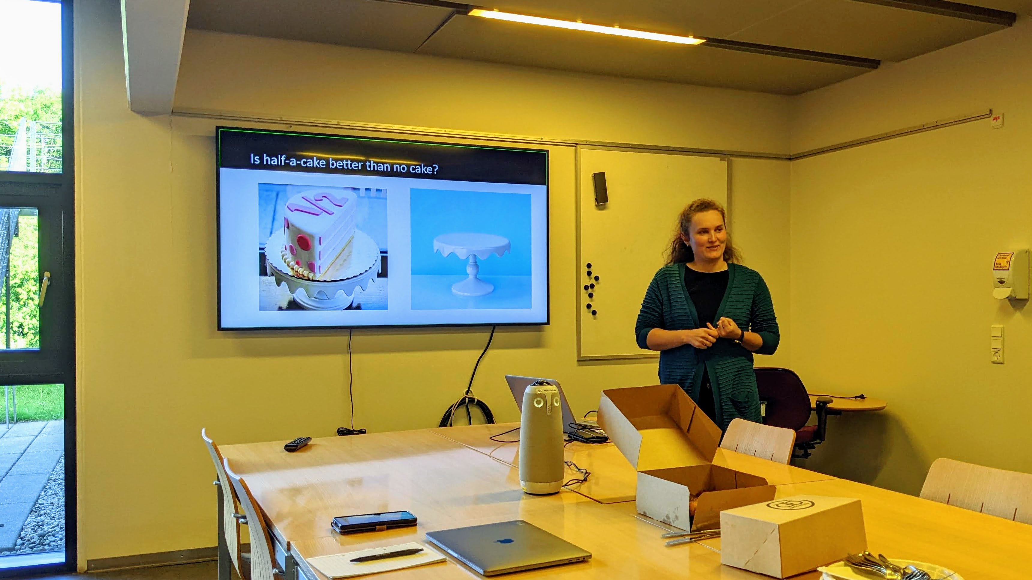 Seminar with Dorina Verdes