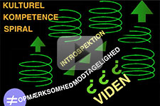 Den Kulturelle Kompetence Spiral