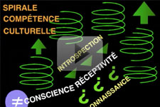 Den Kulturelle Kompetence Spiral