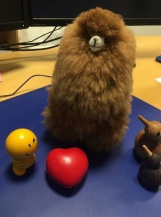 The alpaca PACA mascot