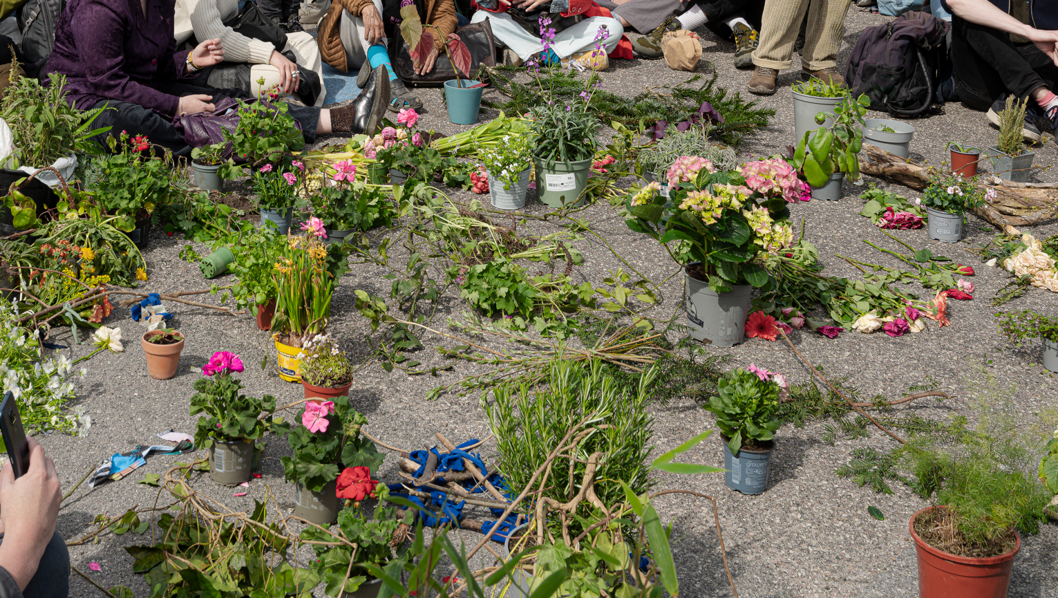 Stock photo. Copenhagen, Denmark, April 28, 2023. Extinction Rebellion puts plants on the road at Christiansborg 