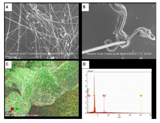 Imaging of tin whiskers