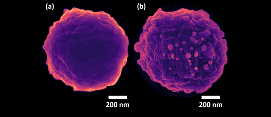 Magnetic particles that bond viruses.