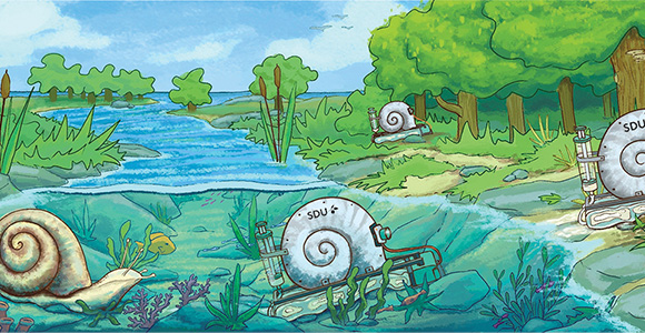 Soft transitions workshop illustration