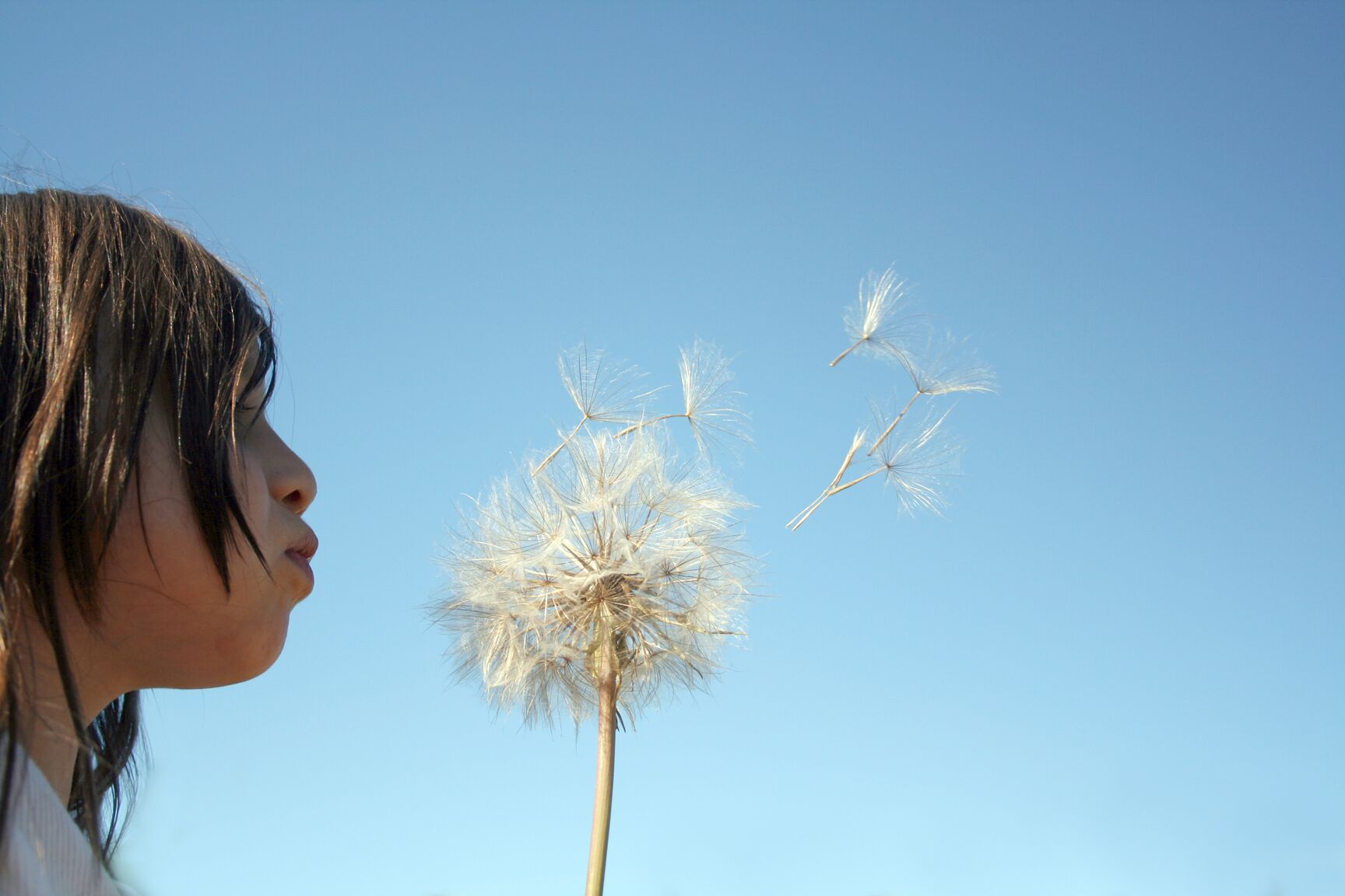 Child in profile blowing a dandelion as seeds float in a blue sky.