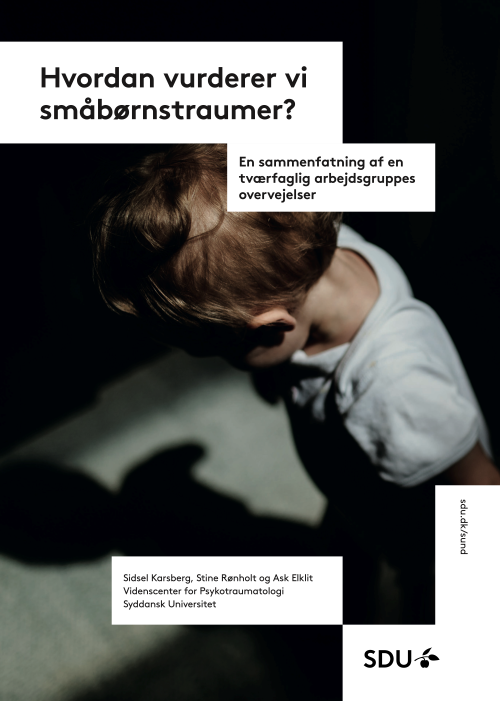 Rapport forside