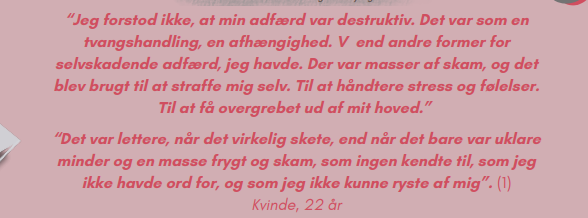 skygge-projektets tekst