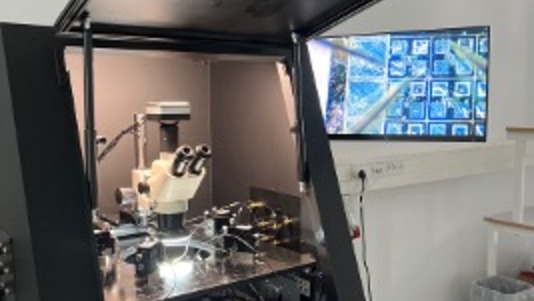 Cryogenic probe station in CryoLab
