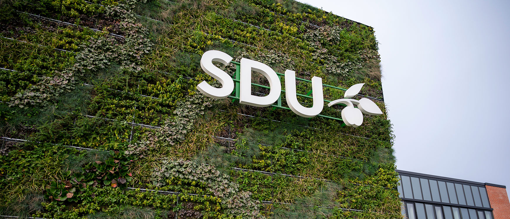 Green plant wall near the SDU entrance at Degnevej 14