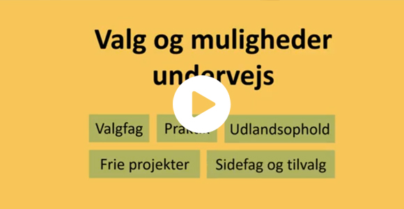 Lær mere om dine muligheder undervejs på din bacheloruddannelse på Syddansk Universitet