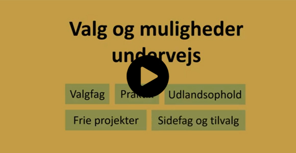 Lær mere om dine muligheder undervejs på din bacheloruddannelse på Syddansk Universitet