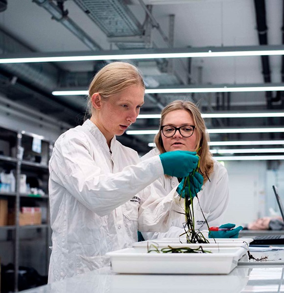 Two SDU students in white coats examining plant samples in a laboratory.
