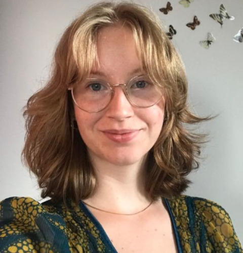 Studenterambassadør, Dansk