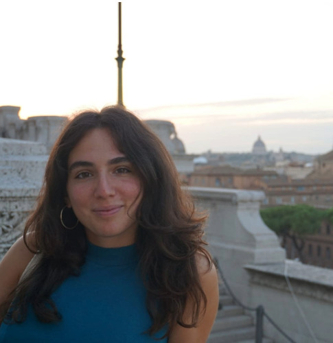 Student ambassador, Strategy and organization