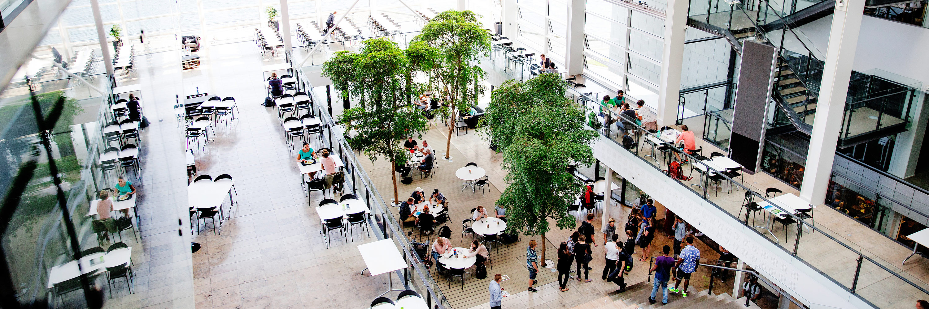 Studiemiljø på SDU Sønderborg