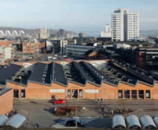 Bomuldsspinderierne.