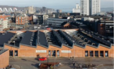 Bomuldsspinderierne.