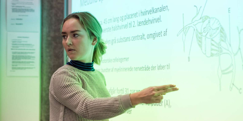 Bliv gymnasielærer
