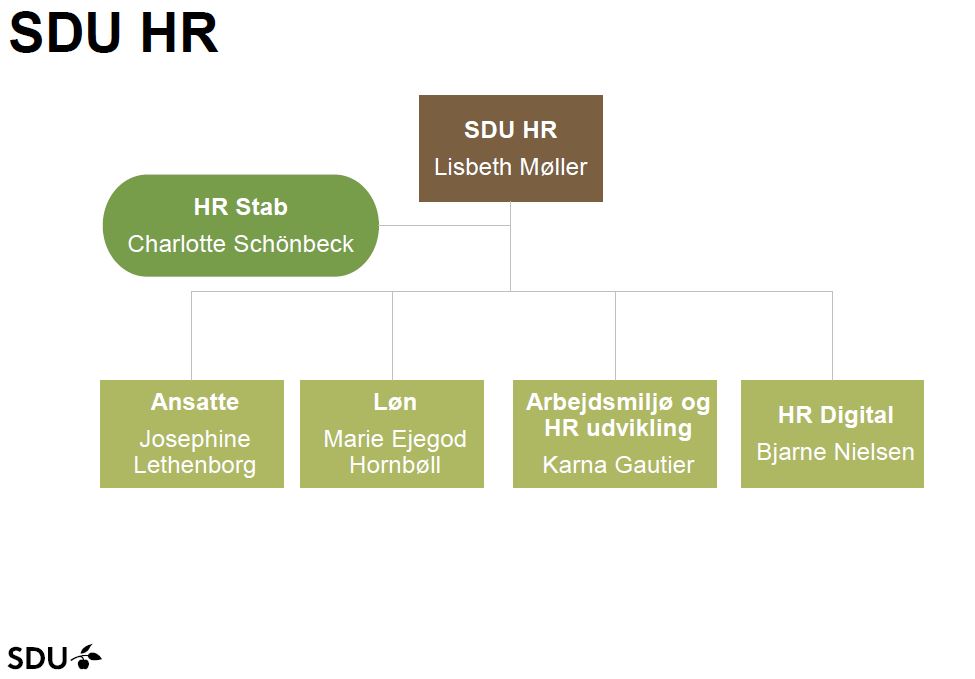 SDU HR