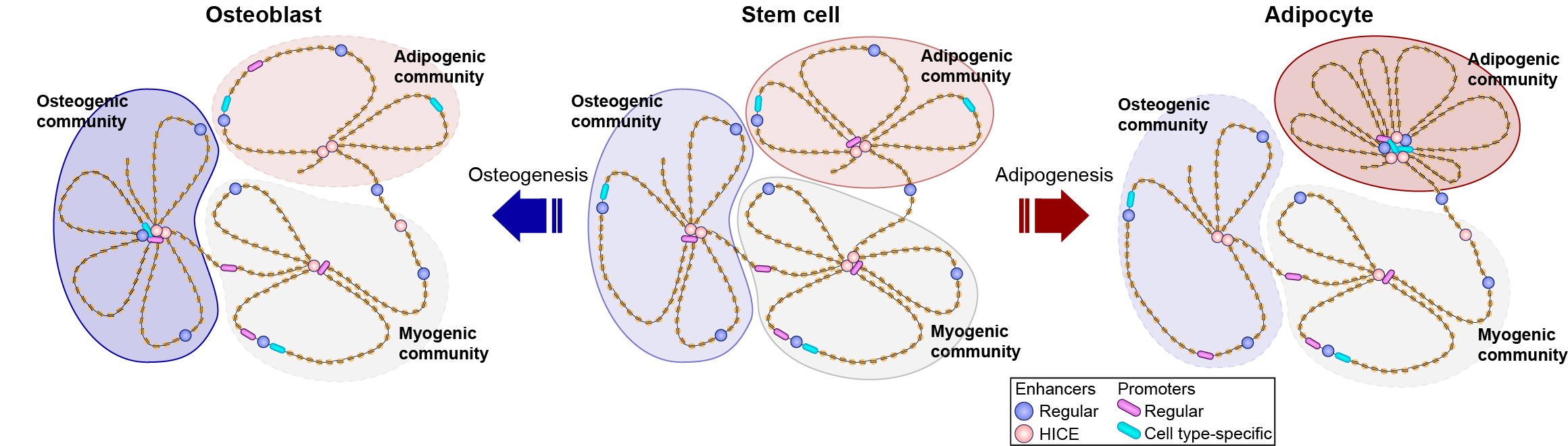 Nature Genetics paper from ATLAS