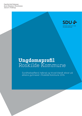Forside med blå og grå geometriske former og teksten "Ungdomsprofil Roskilde Kommune" samt SDU-logo.
