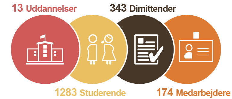 nøgletal SDU Sønderborg