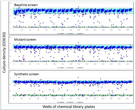 Results of a high-throughput screen of Caulobacter crescentus against the Prestwick Chemical Library
